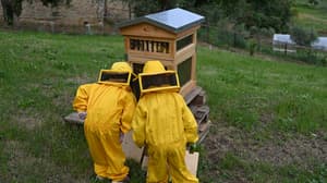 thumbnail: Children's activities