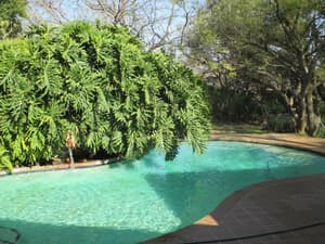 thumbnail: Pool