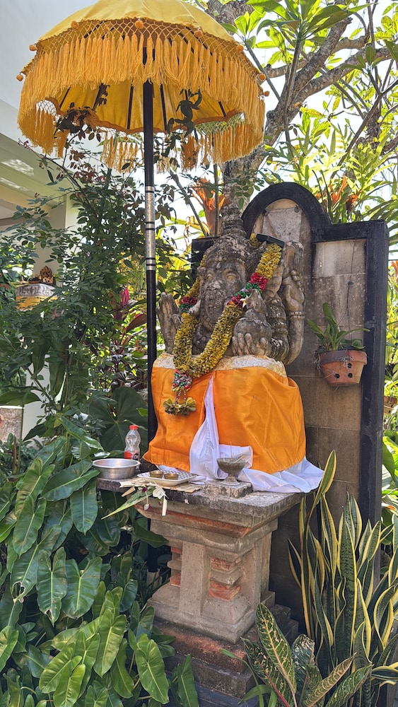 Garden view
