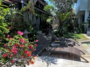 thumbnail: Garden view
