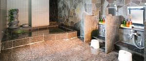 thumbnail: Indoor spa tub