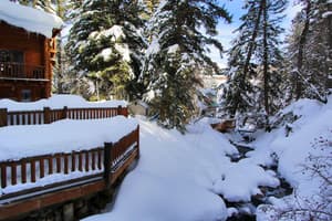 thumbnail: Property grounds