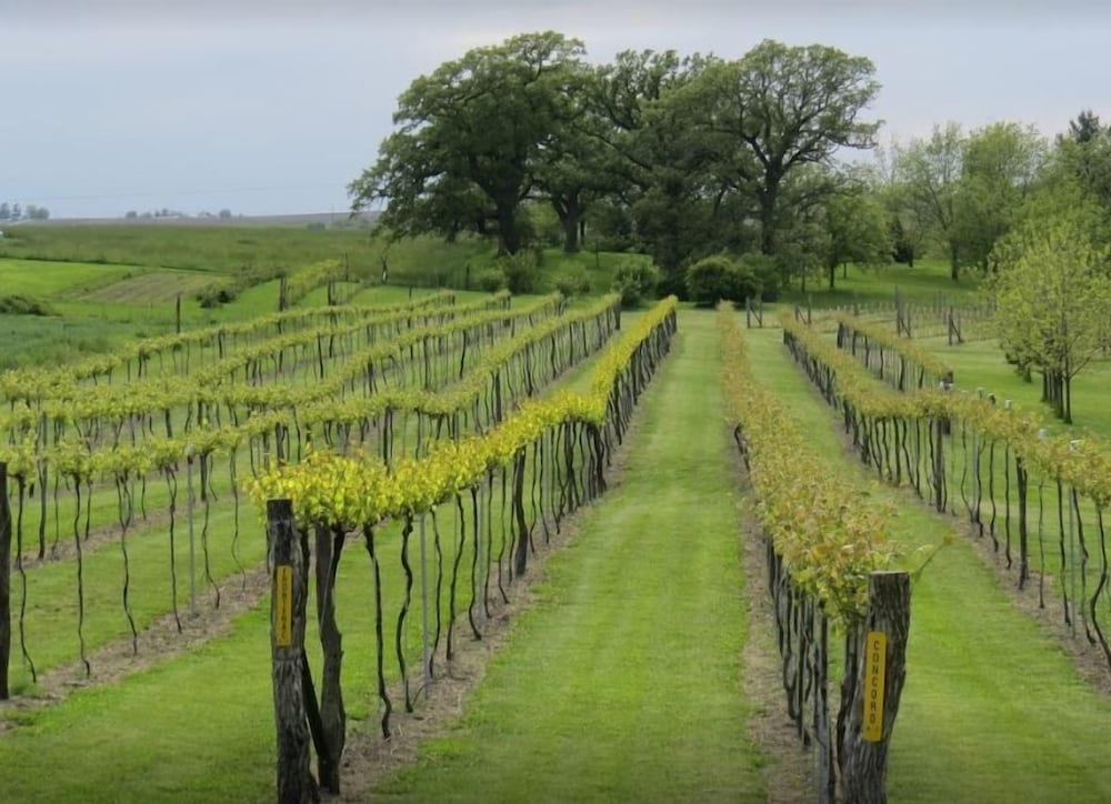 Winery