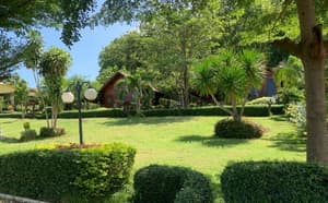 thumbnail: Garden view
