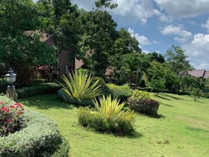 thumbnail: Garden view