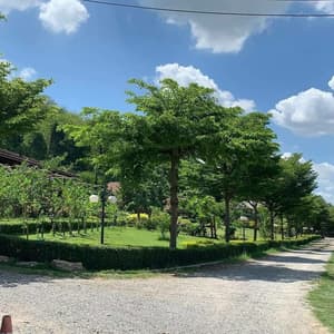 thumbnail: Garden view