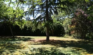 thumbnail: Garden