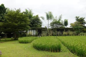 thumbnail: General view