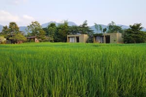 thumbnail: General view