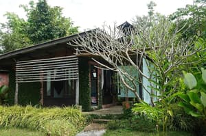 thumbnail: General view