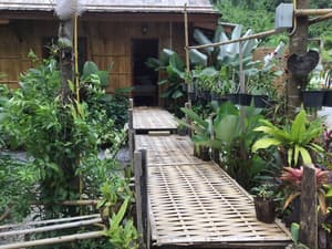 thumbnail: Garden