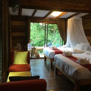 thumbnail: View from room