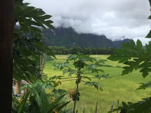thumbnail: Mountain view