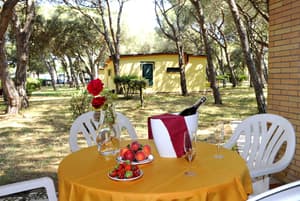 thumbnail: Terrace/patio