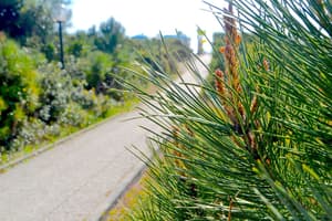thumbnail: View from property