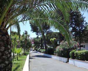 thumbnail: View from property