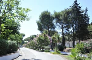 thumbnail: View from property