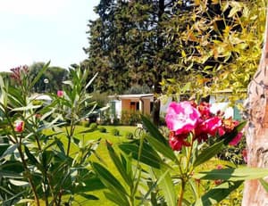 thumbnail: Garden
