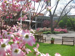 thumbnail: Garden