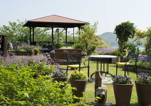 thumbnail: Garden