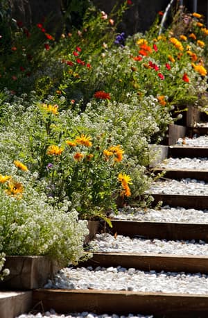 thumbnail: Garden