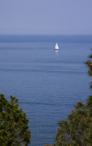 thumbnail: View from property