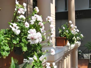 thumbnail: Exterior