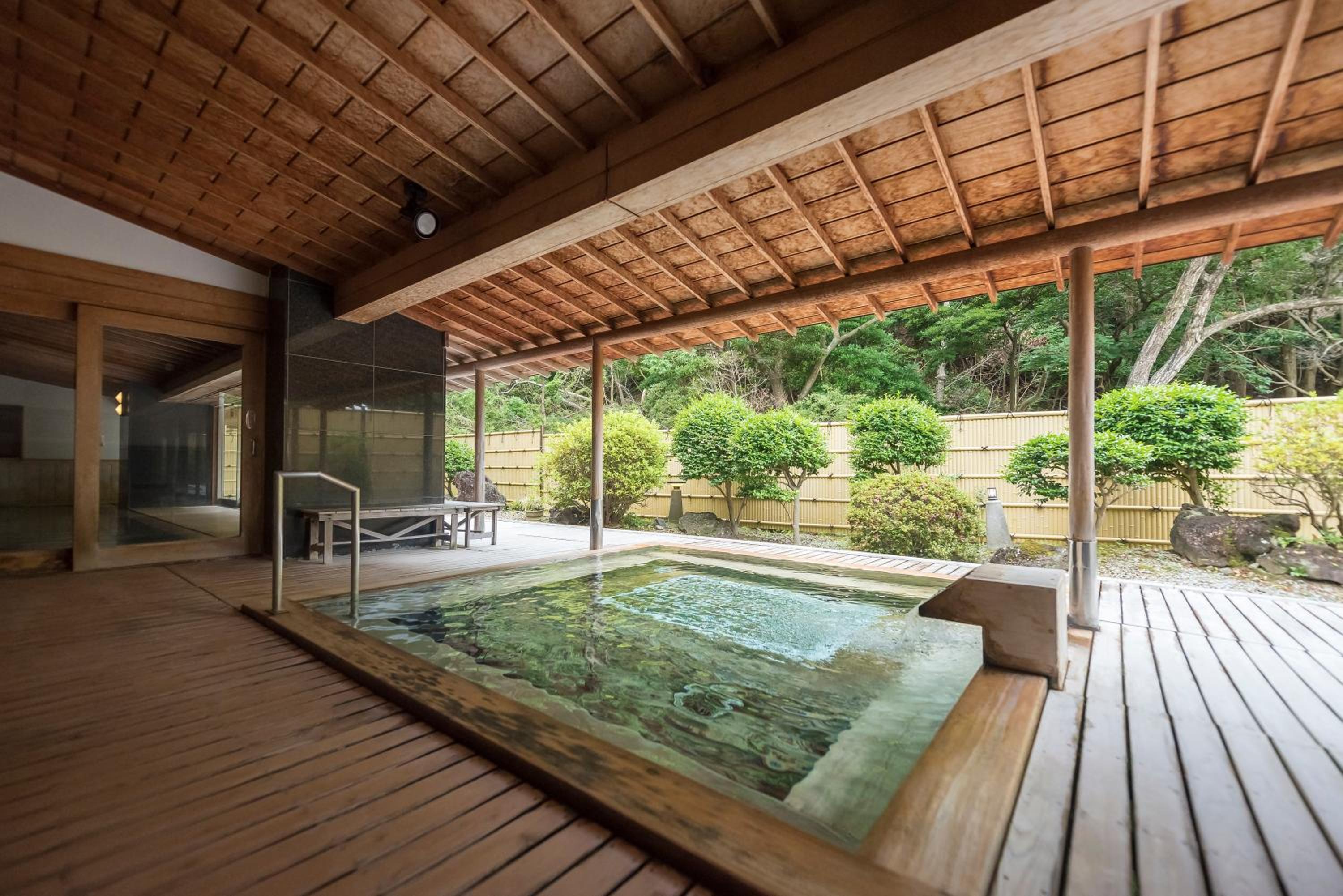 Swimming pool-spa