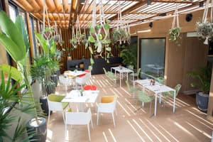thumbnail: Terrace/patio