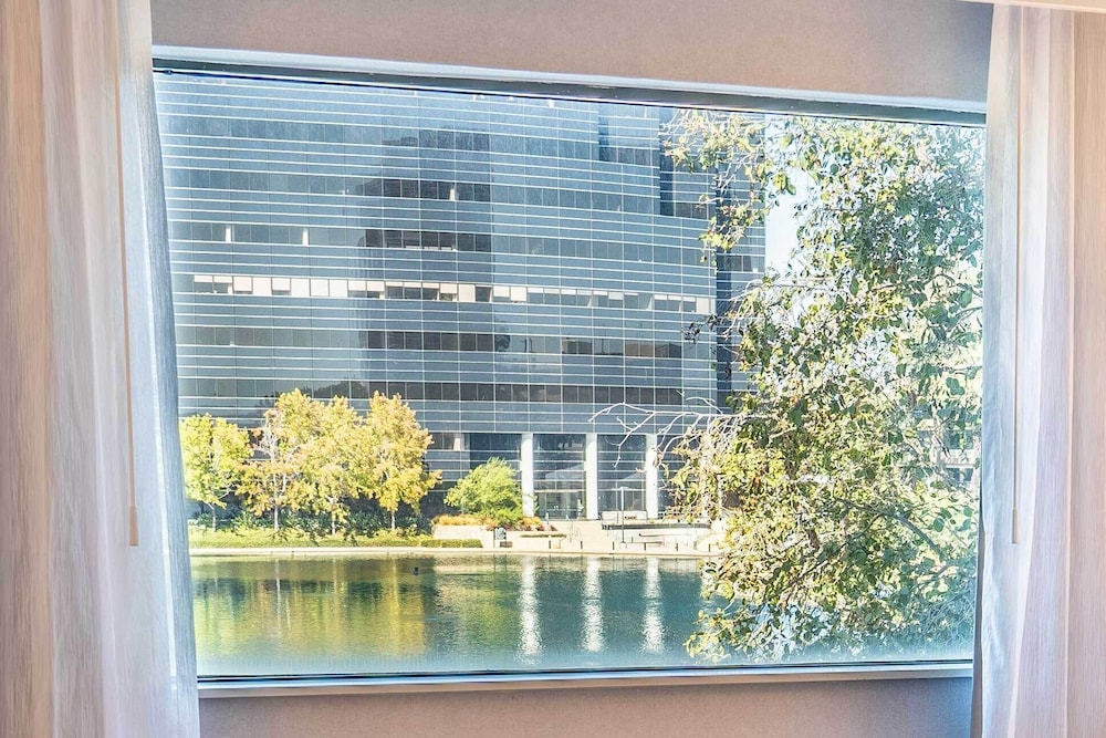 Lake view