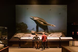 thumbnail: Children's activities