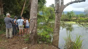 thumbnail: Hiking