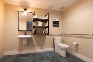 thumbnail: Accessible bathroom