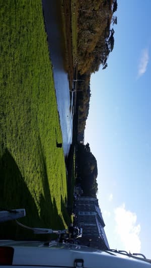 thumbnail: View from property