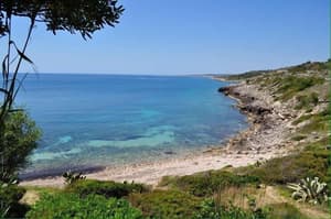 thumbnail: General view