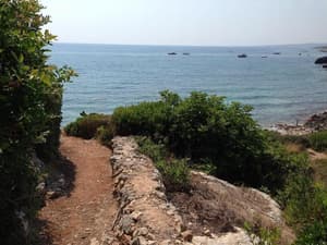 thumbnail: General view