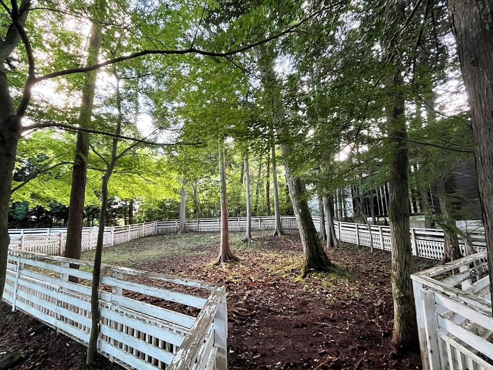 Pet-friendly amenities
