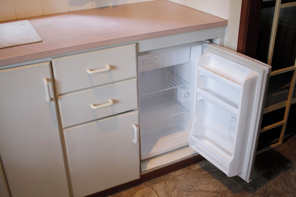 Mini-refrigerator