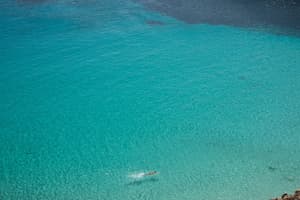 thumbnail: Beach