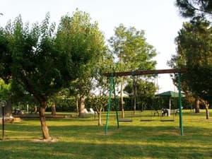 thumbnail: 25900538.jpg