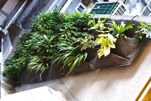 thumbnail: Garden