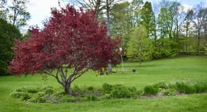 thumbnail: Front of property