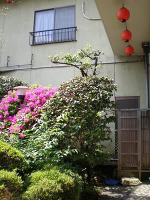 thumbnail: Garden