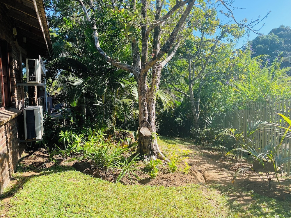 Garden view
