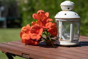 thumbnail: Garden