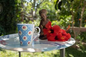 thumbnail: Terrace/patio