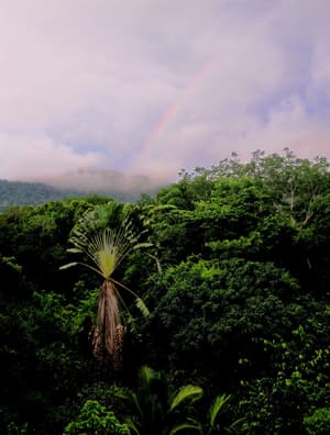 thumbnail: View from property