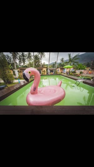 thumbnail: Outdoor pool