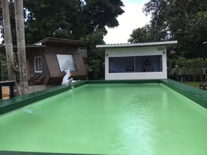 thumbnail: Outdoor pool