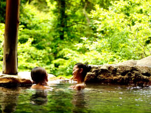 thumbnail: f3926d059227a1ad1ca7ad6d8c1f70a1.jpg